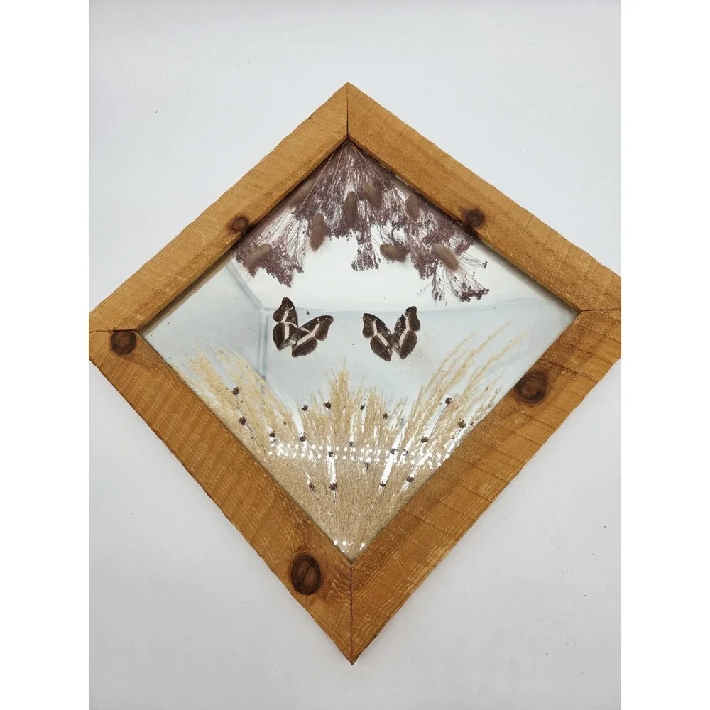 Vintage Taxidermy‎ Mirror 15x15 Real Butterfly Brown Grass Wheat Dried Flowers